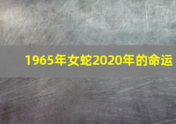 1965年女蛇2020年的命运