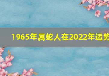 1965年属蛇人在2022年运势