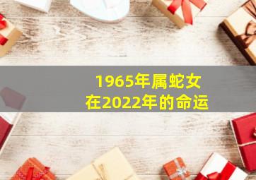 1965年属蛇女在2022年的命运