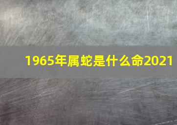 1965年属蛇是什么命2021