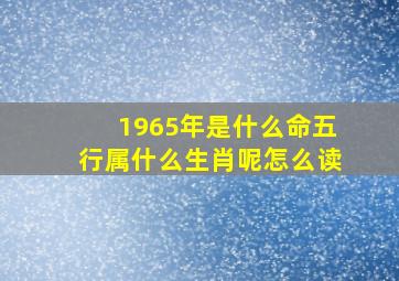 1965年是什么命五行属什么生肖呢怎么读