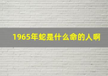 1965年蛇是什么命的人啊