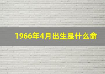 1966年4月出生是什么命