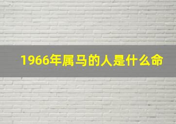 1966年属马的人是什么命