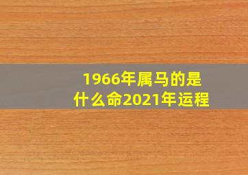 1966年属马的是什么命2021年运程