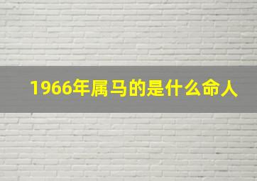 1966年属马的是什么命人