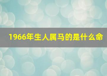 1966年生人属马的是什么命