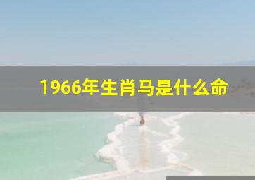 1966年生肖马是什么命