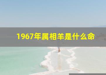 1967年属相羊是什么命