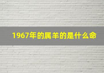 1967年的属羊的是什么命