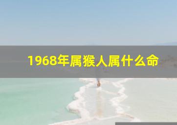 1968年属猴人属什么命