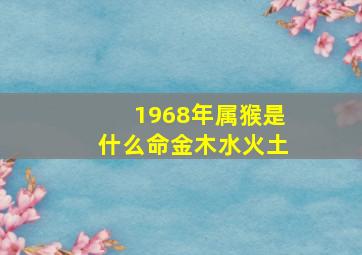 1968年属猴是什么命金木水火土