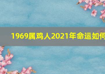 1969属鸡人2021年命运如何