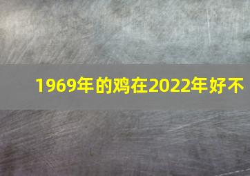 1969年的鸡在2022年好不