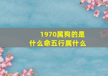 1970属狗的是什么命五行属什么