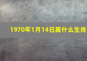 1970年1月14日属什么生肖