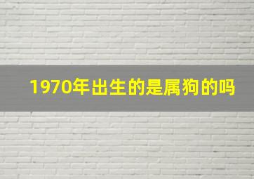 1970年出生的是属狗的吗