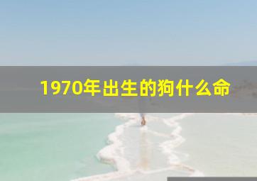 1970年出生的狗什么命