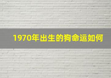 1970年出生的狗命运如何