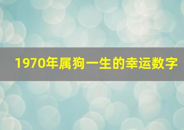 1970年属狗一生的幸运数字