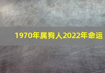 1970年属狗人2022年命运