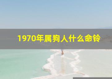 1970年属狗人什么命铃