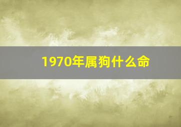 1970年属狗什么命