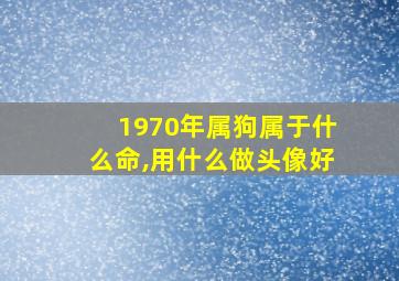 1970年属狗属于什么命,用什么做头像好