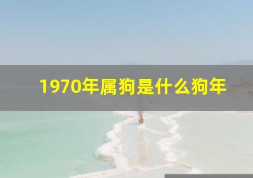 1970年属狗是什么狗年