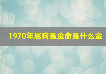 1970年属狗是金命是什么金