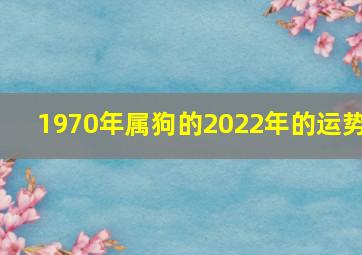 1970年属狗的2022年的运势