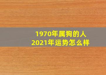 1970年属狗的人2021年运势怎么样