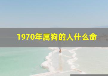 1970年属狗的人什么命