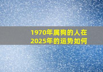 1970年属狗的人在2025年的运势如何