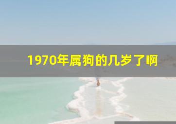 1970年属狗的几岁了啊