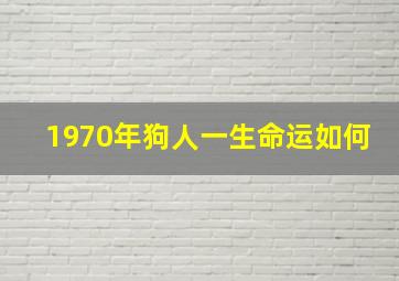 1970年狗人一生命运如何