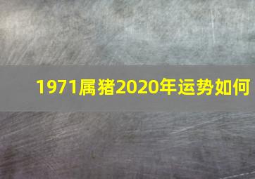 1971属猪2020年运势如何