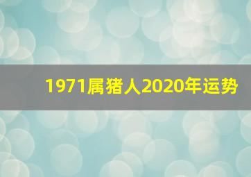 1971属猪人2020年运势