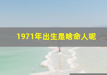 1971年出生是啥命人呢