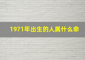 1971年出生的人属什么命