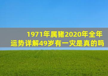 1971年属猪2020年全年运势详解49岁有一灾是真的吗