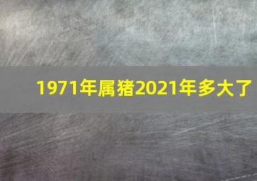 1971年属猪2021年多大了