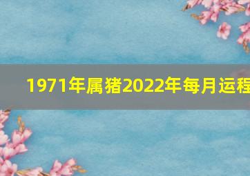 1971年属猪2022年每月运程