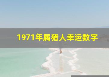 1971年属猪人幸运数字