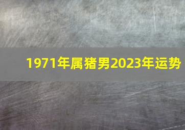 1971年属猪男2023年运势