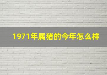 1971年属猪的今年怎么样