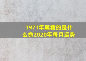 1971年属猪的是什么命2020年每月运势