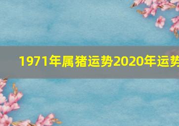 1971年属猪运势2020年运势