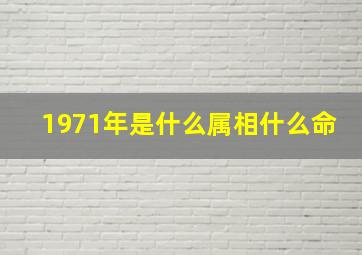 1971年是什么属相什么命