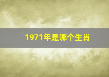 1971年是哪个生肖